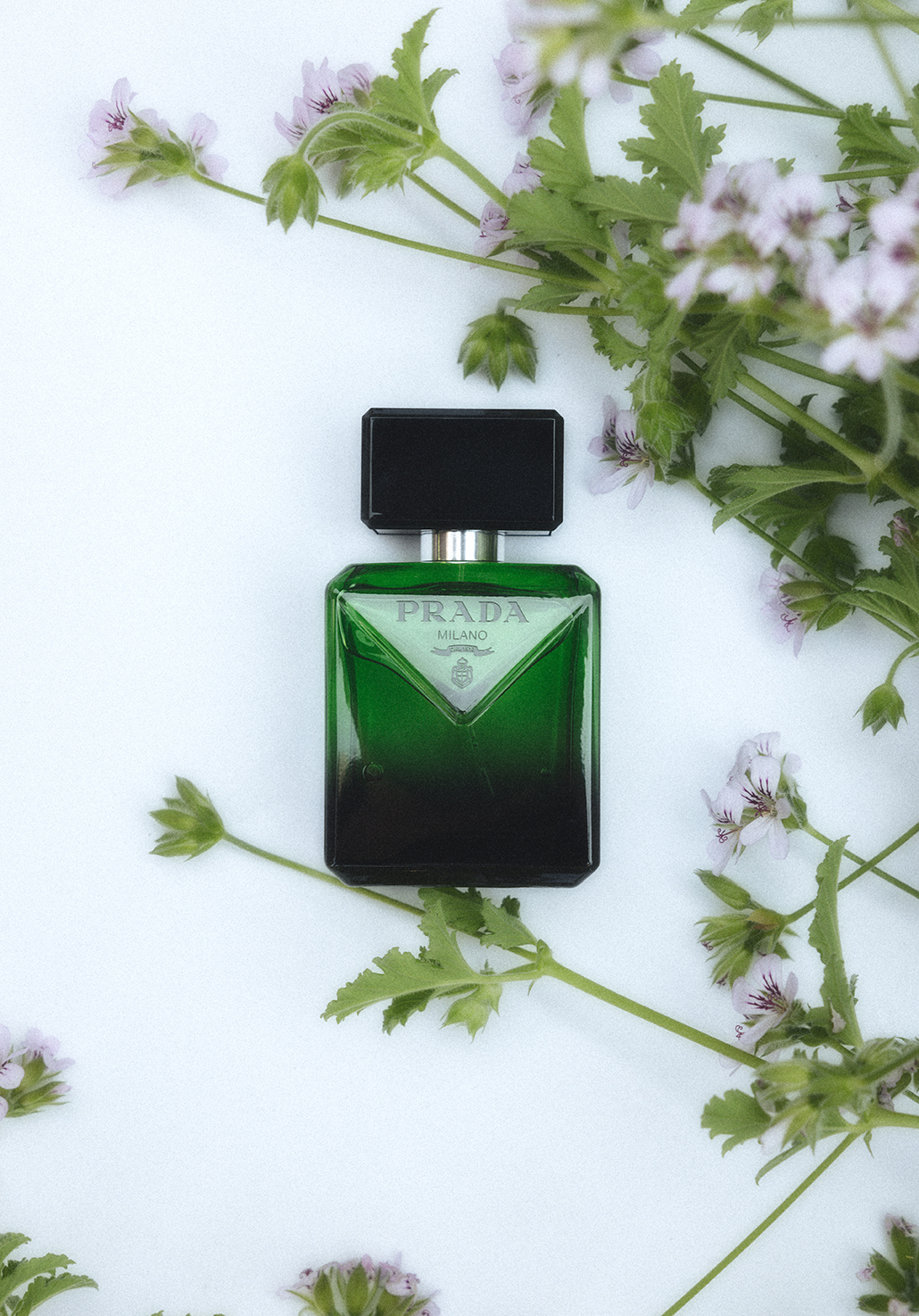 Perfumes: Culinary